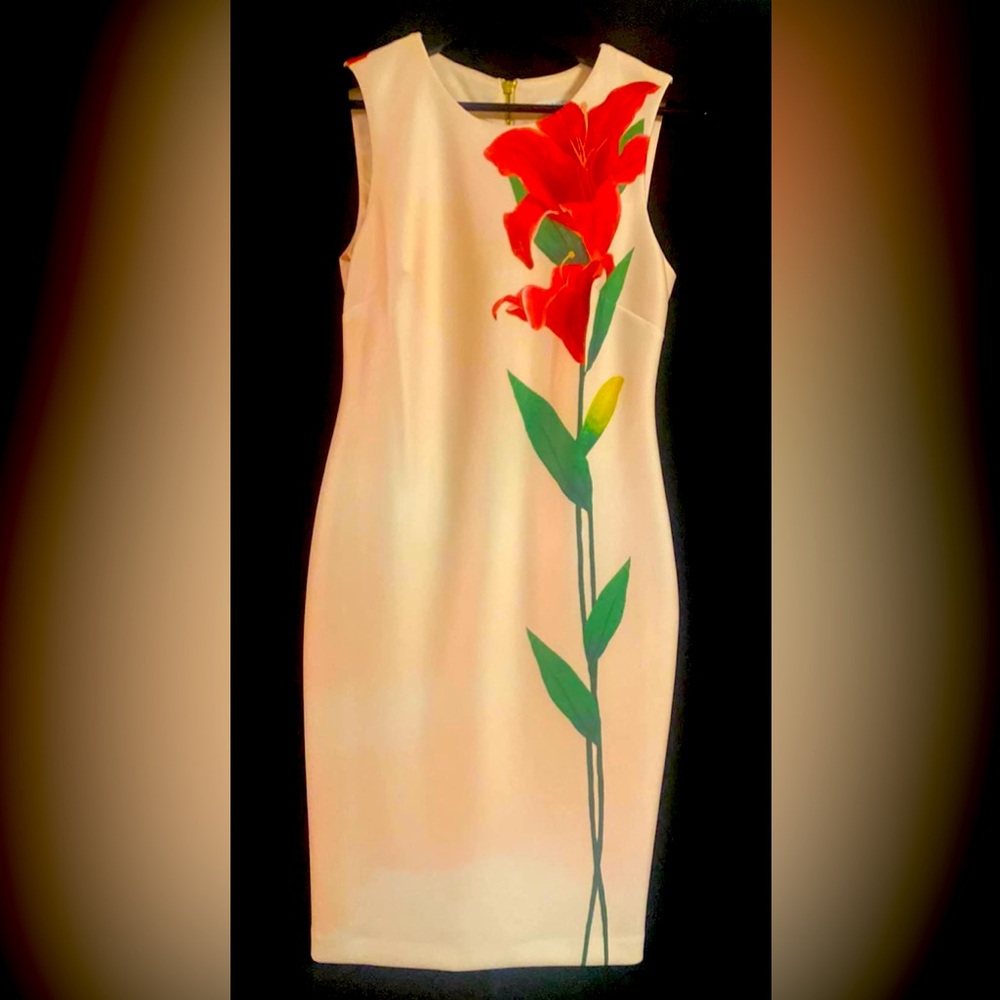 Calvin Klein dress. No tags.